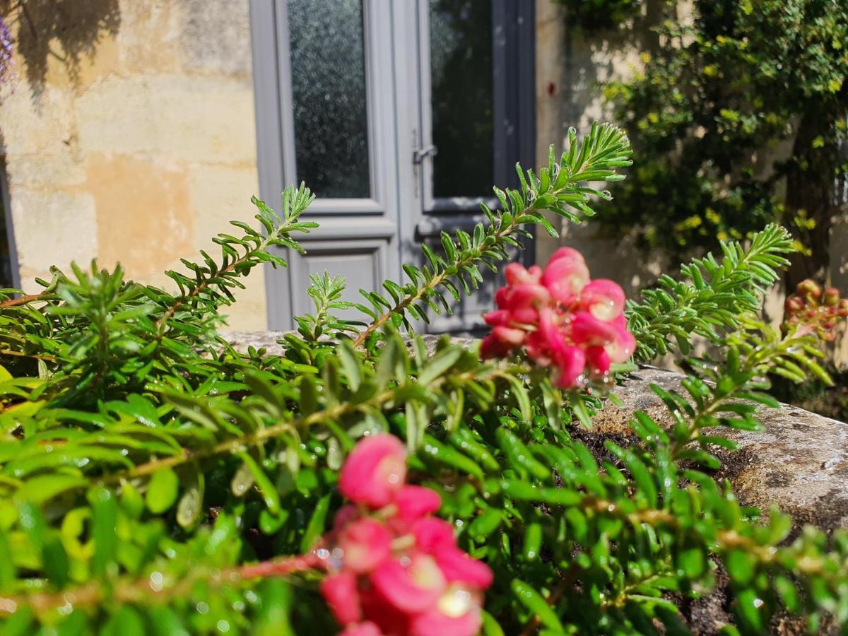Le Clos Reaud Blaye Luaran gambar